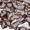 Spartin antibody, NBP1-82982, Novus Biologicals, Immunohistochemistry paraffin image 