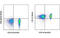 Interleukin 2 Receptor Subunit Gamma antibody, MBS834135, MyBioSource, Flow Cytometry image 