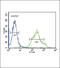 Zinc Finger DHHC-Type Containing 21 antibody, 61-818, ProSci, Immunofluorescence image 