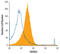 Tumor necrosis factor receptor superfamily member 26 antibody, MAB5330, R&D Systems, Flow Cytometry image 