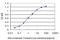 Kinase suppressor of Ras 2 antibody, H00283455-M05, Novus Biologicals, Enzyme Linked Immunosorbent Assay image 