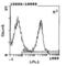 Ig kappa chain C region, A allele antibody, SA5-10177, Invitrogen Antibodies, Flow Cytometry image 