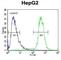 ATPase 13A3 antibody, abx032668, Abbexa, Western Blot image 