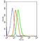 TNF Superfamily Member 8 antibody, orb156296, Biorbyt, Flow Cytometry image 