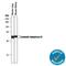 Carbonic Anhydrase 4 antibody, AF2414, R&D Systems, Western Blot image 