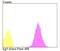 Kinesin Family Member 11 antibody, NBP2-76927, Novus Biologicals, Flow Cytometry image 