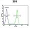 Chromosome 5 Open Reading Frame 15 antibody, abx032563, Abbexa, Flow Cytometry image 