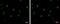 DEAD-Box Helicase 23 antibody, NBP2-16129, Novus Biologicals, Immunofluorescence image 