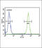 Acetylserotonin O-Methyltransferase antibody, 61-665, ProSci, Immunofluorescence image 