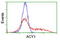 Aminoacylase 1 antibody, LS-C173124, Lifespan Biosciences, Flow Cytometry image 