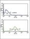 Apurinic/Apyrimidinic Endodeoxyribonuclease 2 antibody, PA5-72607, Invitrogen Antibodies, Flow Cytometry image 