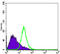 NK3 Homeobox 1 antibody, abx011278, Abbexa, Enzyme Linked Immunosorbent Assay image 