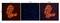 Claudin 17 antibody, orb324486, Biorbyt, Immunocytochemistry image 