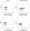 Lymphocyte Cytosolic Protein 2 antibody, 40887S, Cell Signaling Technology, Flow Cytometry image 