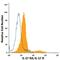 Interleukin 17 Receptor A antibody, PA5-46884, Invitrogen Antibodies, Flow Cytometry image 