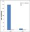 Histone Cluster 4 H4 antibody, 701777, Invitrogen Antibodies, Chromatin Immunoprecipitation image 