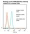 Carcinoembryonic Antigen Related Cell Adhesion Molecule 8 antibody, LS-C357644, Lifespan Biosciences, Flow Cytometry image 