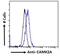 Calcium/Calmodulin Dependent Protein Kinase II Alpha antibody, PA5-19128, Invitrogen Antibodies, Flow Cytometry image 