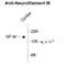 Neurofilament Medium antibody, 50-257, ProSci, Western Blot image 