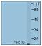 TSC22 Domain Family Member 1 antibody, AP01239PU-N, Origene, Western Blot image 