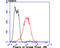 Plexin A1 antibody, A06377, Boster Biological Technology, Flow Cytometry image 