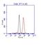 p53 antibody, A300-247A, Bethyl Labs, Flow Cytometry image 