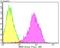 Ras Homolog, MTORC1 Binding antibody, NBP2-75646, Novus Biologicals, Flow Cytometry image 