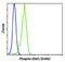 Signal Transducer And Activator Of Transcription 5A antibody, MA5-14973, Invitrogen Antibodies, Flow Cytometry image 