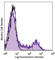 CD150 antibody, 115925, BioLegend, Flow Cytometry image 