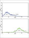 Selectin L antibody, abx033100, Abbexa, Flow Cytometry image 