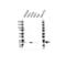 BH3 Interacting Domain Death Agonist antibody, VPA00841, Bio-Rad (formerly AbD Serotec) , Western Blot image 