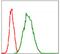 Glucose-6-Phosphate Dehydrogenase antibody, NBP2-22125, Novus Biologicals, Flow Cytometry image 