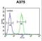 Endothelin Converting Enzyme 1 antibody, LS-C167608, Lifespan Biosciences, Flow Cytometry image 