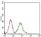 Calcium/Calmodulin Dependent Protein Kinase II Gamma antibody, NBP2-37262, Novus Biologicals, Flow Cytometry image 