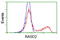 RASD Family Member 2 antibody, TA502071, Origene, Flow Cytometry image 