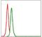 SRC Proto-Oncogene, Non-Receptor Tyrosine Kinase antibody, NBP2-37543, Novus Biologicals, Flow Cytometry image 