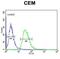 Tetraspanin 7 antibody, abx032328, Abbexa, Flow Cytometry image 