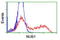 Negative Regulator Of Ubiquitin Like Proteins 1 antibody, TA800188, Origene, Flow Cytometry image 