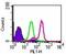 Toll Like Receptor 9 antibody, NBP2-24863, Novus Biologicals, Flow Cytometry image 