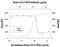 C-C Motif Chemokine Ligand 25 antibody, PA5-47662, Invitrogen Antibodies, Neutralising image 