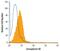 Semaphorin 4D antibody, PA5-47711, Invitrogen Antibodies, Flow Cytometry image 