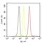 Platelet Derived Growth Factor D antibody, 40-2100, Invitrogen Antibodies, Flow Cytometry image 