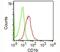CD1b Molecule antibody, 33-078, ProSci, Flow Cytometry image 