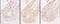HEXIM P-TEFb Complex Subunit 1 antibody, NBP1-71866, Novus Biologicals, Immunohistochemistry frozen image 