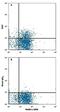 T Cell Immunoreceptor With Ig And ITIM Domains antibody, FAB7898N, R&D Systems, Flow Cytometry image 