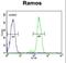 Decapping MRNA 1B antibody, LS-C167298, Lifespan Biosciences, Flow Cytometry image 