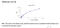 Pentraxin 3 antibody, MBS2600949, MyBioSource, Enzyme Linked Immunosorbent Assay image 