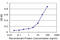 Cyclin K antibody, LS-C139345, Lifespan Biosciences, Enzyme Linked Immunosorbent Assay image 