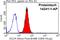 Glutamate-Cysteine Ligase Modifier Subunit antibody, 14241-1-AP, Proteintech Group, Flow Cytometry image 