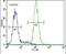 Cystatin 9 antibody, PA5-24535, Invitrogen Antibodies, Flow Cytometry image 